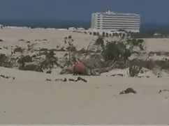 Niña bailando señora ...
