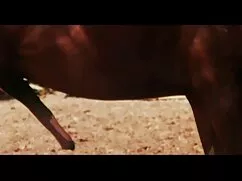 - adolescente señora ...