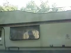 Medias de sexo en se ...